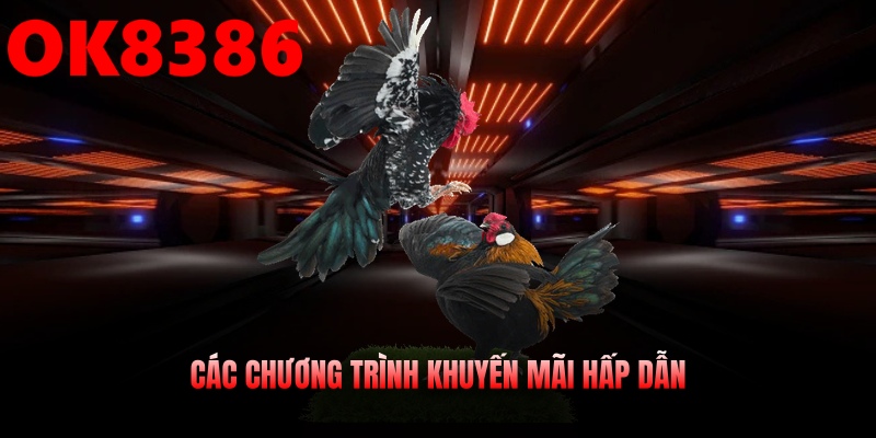 Khuyến mãi hấp dẫn