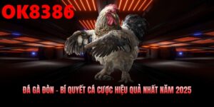 Đá Gà Đòn – Bí Quyết Cá Cược Hiệu Quả Nhất Năm 2025